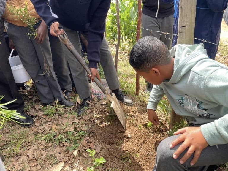Kaapse Forum skenk bome aan Bereaville Morawiese kerk