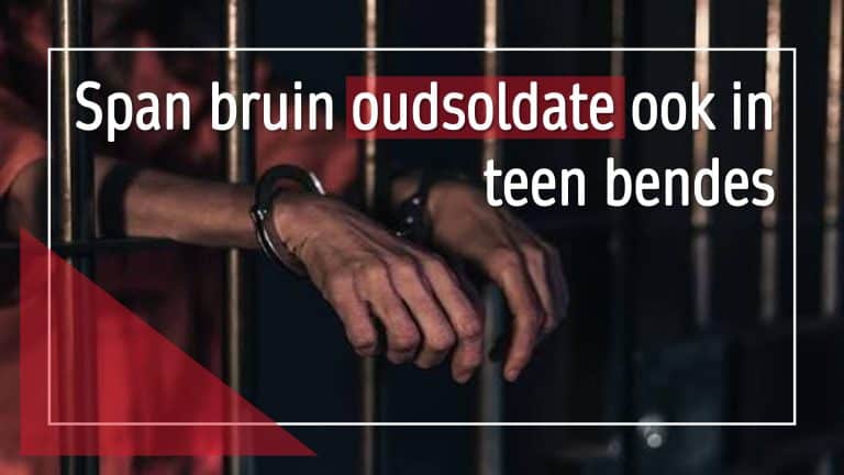 Span bruin oudsoldate ook in teen bendes, sê Kaapse Forum
